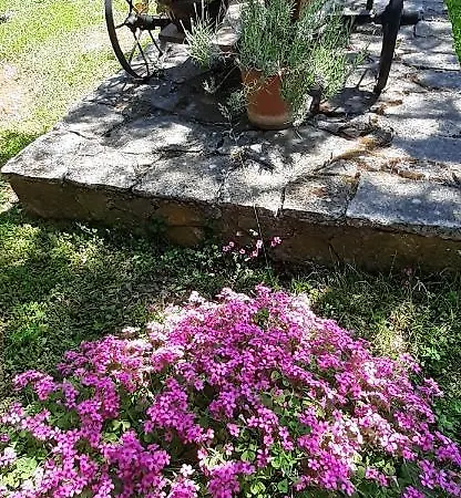Lennida Apartman *