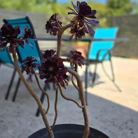 Daire Lennida With Free Parking