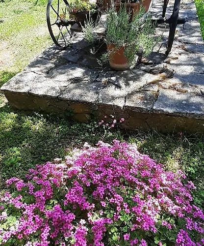 Lennida With Free Parking Lejlighed *