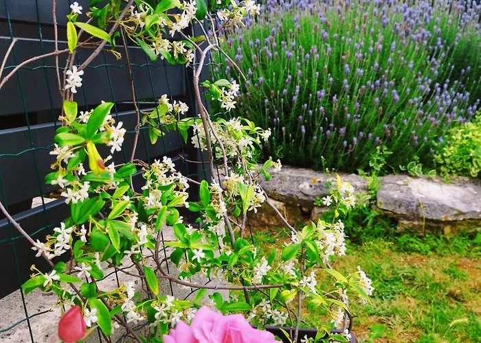 Lennida With Free Parking Kavran