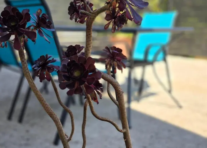 Lejlighed Lennida With Free Parking